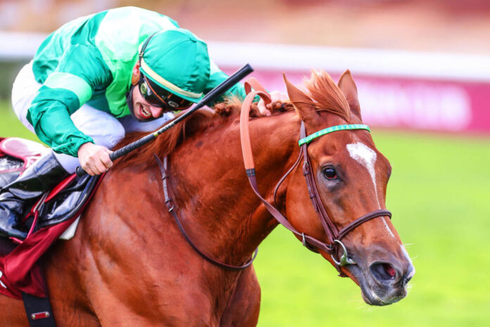 MILL STREAM (PRIX DE MEAUTRY, Gr3)